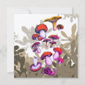 Paddenstoelen (Voorkant)