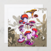 Paddenstoelen (Voorkant / Achterkant)