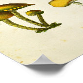  paddenstoelen 1839 Art Afdrukgeel Groen Poster (Hoek)