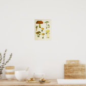  paddenstoelen 1839 Art Afdrukgeel Groen Poster (Keuken)