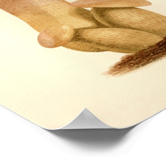 paddenstoelen 1861 Art Afdrukken Groen Pet Poster (Hoek)