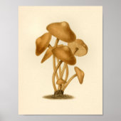  paddenstoelen 1861 Art Print Brown (Voorkant)