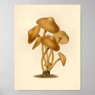 paddenstoelen 1861 Art Print Brown