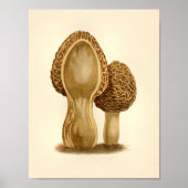  paddenstoelen 1861 Art Print Morel Fungus (Voorkant)