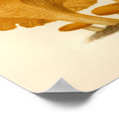 paddenstoelen 1861 Kunst printgele Fungus Poster (Hoek)