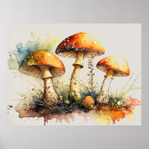 Paddenstoelen, Amanita muscaria