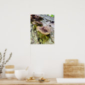 Paddenstoelen bij de gestorven bomen poster (Keuken)