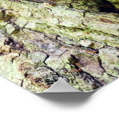 Paddenstoelen bij de gestorven bomen poster (Hoek)