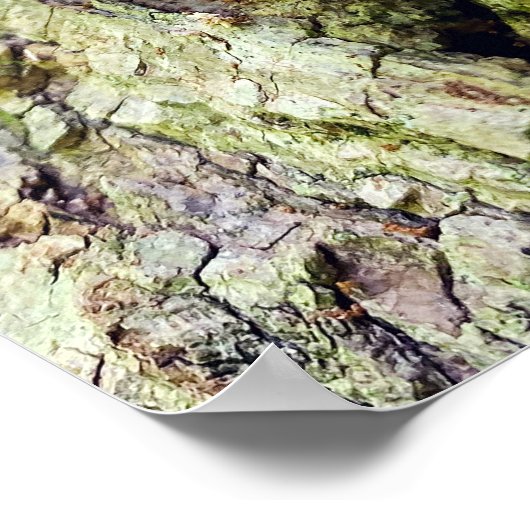 Paddenstoelen bij de gestorven bomen poster (Hoek)