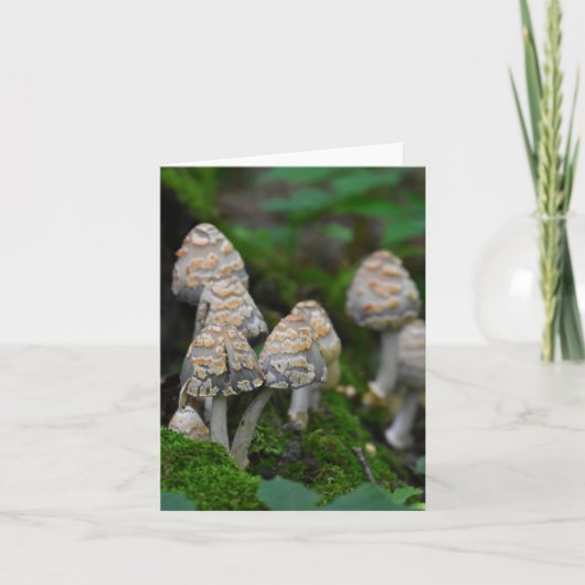 Paddenstoelen, blanco notiecard bedankkaart (Voorkant)