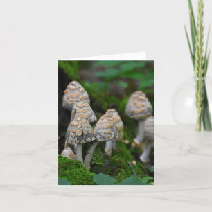 Paddenstoelen, blanco notiecard bedankkaart