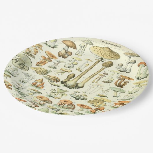 Paddenstoelen Bord (Gekanteld)