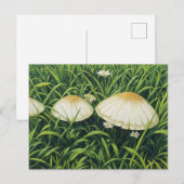  paddenstoelen briefkaart (Voorkant / Achterkant)