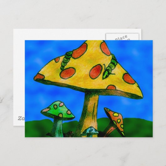 paddenstoelen briefkaart (Voorkant / Achterkant)