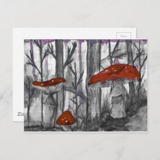 paddenstoelen briefkaart (Voorkant / Achterkant)