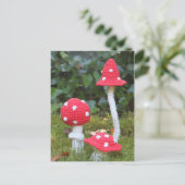 paddenstoelen briefkaart (Staand voorkant)