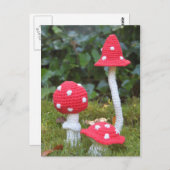 paddenstoelen briefkaart (Voorkant / Achterkant)