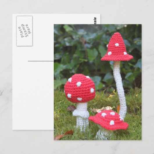 paddenstoelen briefkaart (Voorkant / Achterkant)