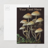 paddenstoelen briefkaart (Voorkant / Achterkant)