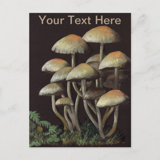 paddenstoelen briefkaart (Voorkant)