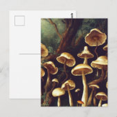  paddenstoelen briefkaart (Voorkant / Achterkant)
