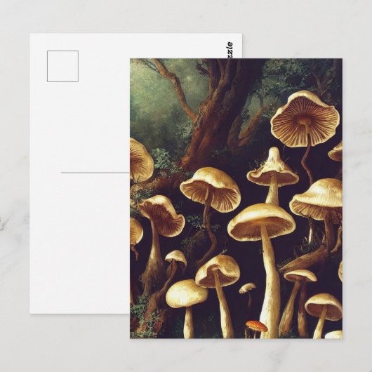  paddenstoelen briefkaart (Voorkant / Achterkant)