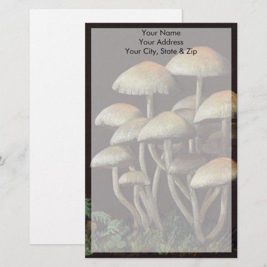 paddenstoelen briefpapier (Voorkant / Achterkant)