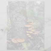 Paddenstoelen - briefpapier van 8,5 x 11 inch (Voorkant)