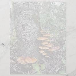 Paddenstoelen - briefpapier van 8,5 x 11 inch