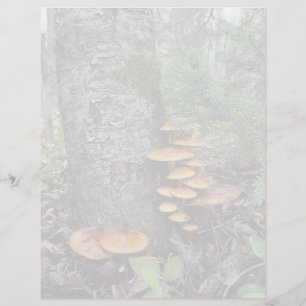 Paddenstoelen - briefpapier van 8,5 x 11 inch