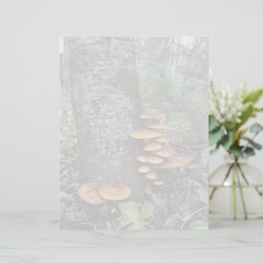 Paddenstoelen - briefpapier van 8,5 x 11 inch (Staand voorkant)