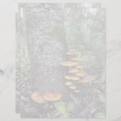 Paddenstoelen - briefpapier van 8,5 x 11 inch (Voorkant / Achterkant)