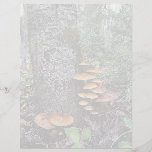 Paddenstoelen - briefpapier van 8,5 x 11 inch (Achterkant)