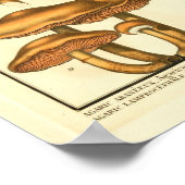  paddenstoelen Brown Fungus Franse kunst afdrukken Poster (Hoek)