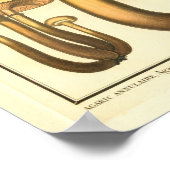  paddenstoelen Brown Fungus Franse kunst afdrukken Poster (Hoek)