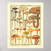  paddenstoelen Bruin Geel Frans Kunstwerk Afdrukke Poster (Voorkant)