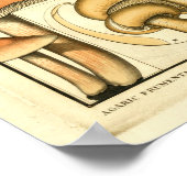 paddenstoelen Bruin Geel Frans Kunstwerk Afdrukke Poster (Hoek)