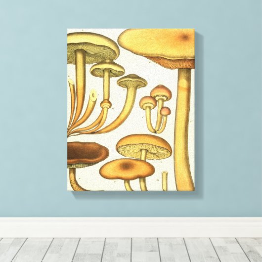  paddenstoelen Bruin Groen Frans Kunstwerk Afdrukk Canvas Afdruk (Insitu (Houten vloer))