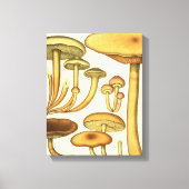 paddenstoelen Bruin Groen Frans Kunstwerk Afdrukk Canvas Afdruk (Voorkant)