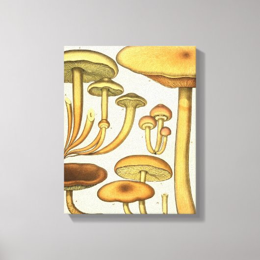 paddenstoelen Bruin Groen Frans Kunstwerk Afdrukk Canvas Afdruk (Voorkant)