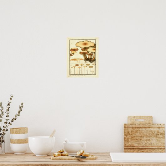 paddenstoelen Bruin Pet Franse kunst afdrukken Poster (Keuken)