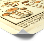  paddenstoelen Bruin Pet Franse kunst afdrukken Poster (Hoek)