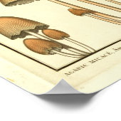 paddenstoelen Bruin Pet Franse kunst afdrukken Poster (Hoek)