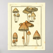 paddenstoelen Bruin Pet Franse kunst afdrukken Poster (Voorkant)