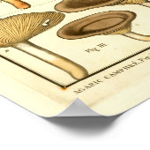 paddenstoelen Bruin Rood Frans Kunstwerk Afdrukke Poster (Hoek)