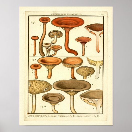 paddenstoelen Bruin Rood Frans Kunstwerk Afdrukke Poster (Voorkant)