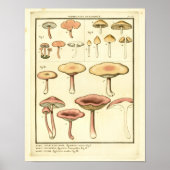  paddenstoelen Bruin Roze Franse kunst Afdrukken Poster (Voorkant)