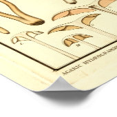  paddenstoelen Bruin White French Art Print (Hoek)