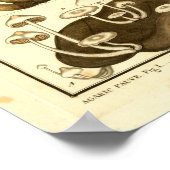 paddenstoelen Bruin White French Art Print (Hoek)