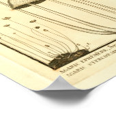  paddenstoelen Bruin White French Art Print (Hoek)